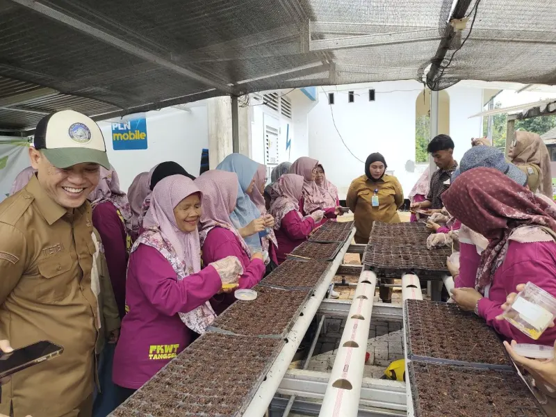 Forum KWT Kecamatan Setu Kompak Semai Cabe hingga Tanam Jagung, Ketahanan Pangan Makin Bergairah