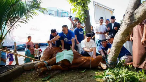 Rutin Saben Idul Adha, Pilar: Setiap Tahun Saya Sembelih Sendiri
