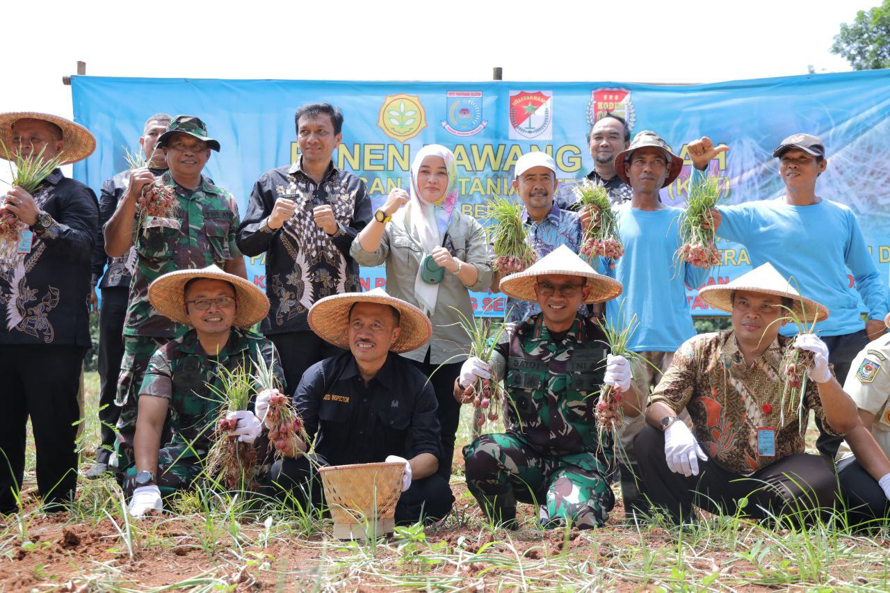 Wujudkan Kemandirian Pangan, Dinas Ketahanan Pangan Pertanian dan Perikanan TangselÂ  Panen Bawang MerahÂ 