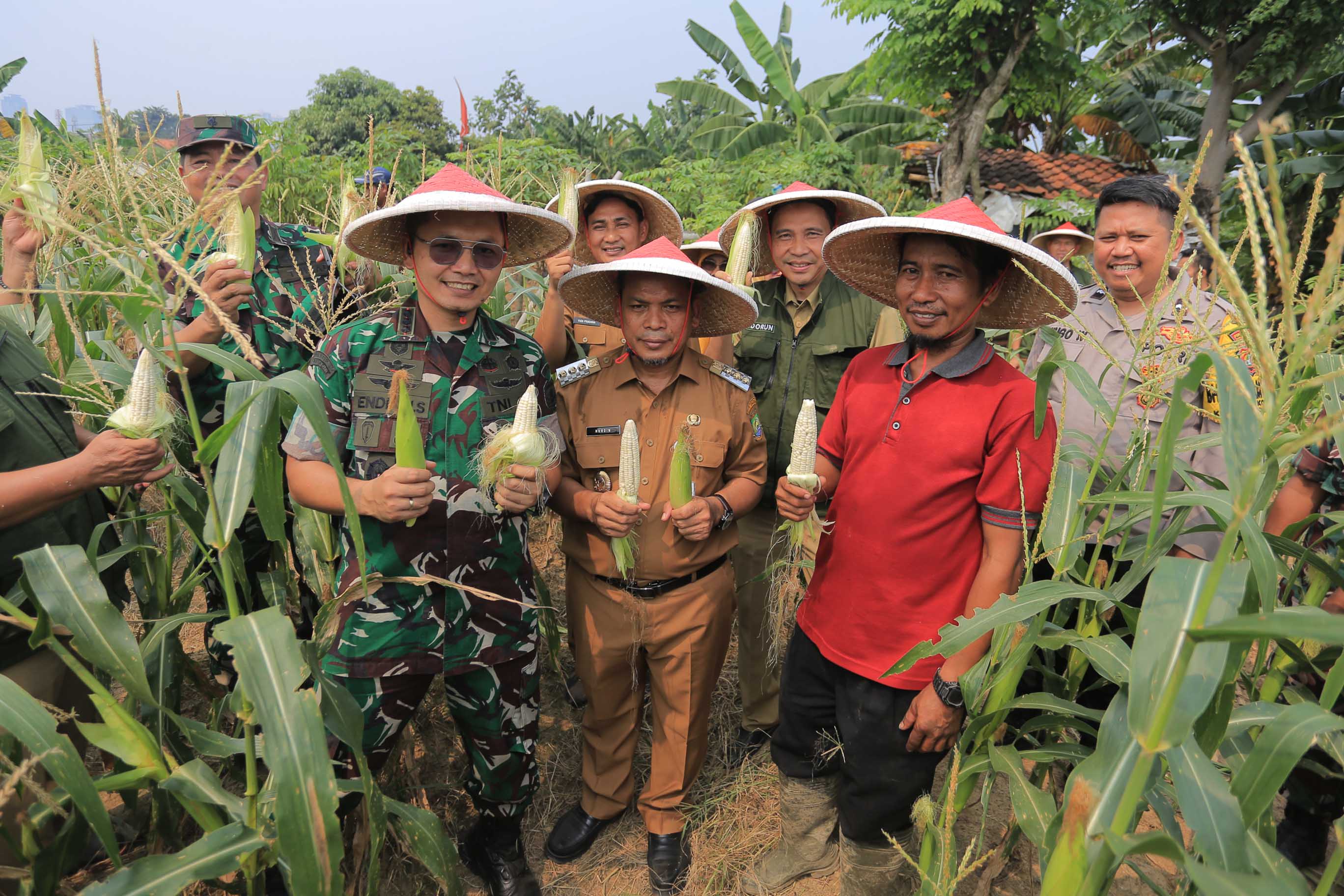 Warga Cikokol Manfaatkan Lahan Kosong untuk Urban Farming