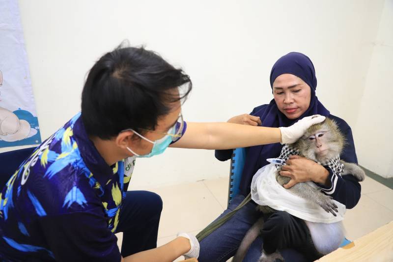 DKP Kota Tangerang Berikan Steril dan Vaksin Rabies Gratis, Begini Caranya