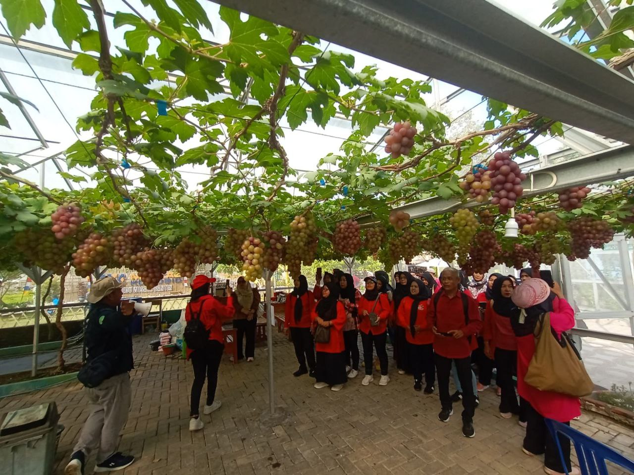 KWT Binaan PT IKPP Tangerang Diajak Belajar Pertanian ke Al Markaz Komobid Agro Wisata BantenÂ 