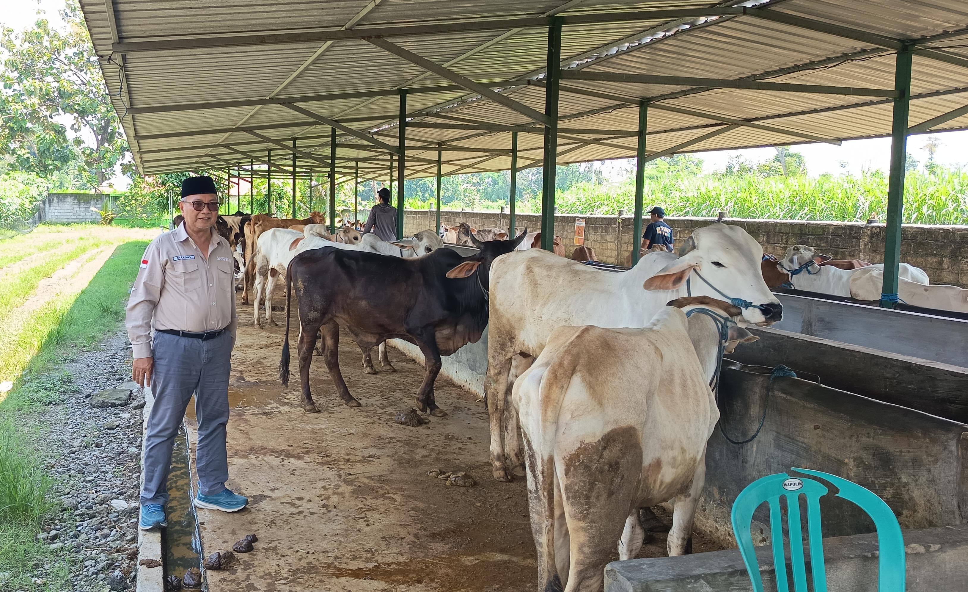 Prof. Muladno Desak Audit Nasional Program Desa Korporasi Sapi, Nilai Vonis Joni tak Adil