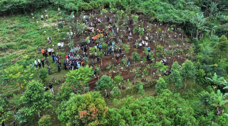 Pemkab Bogor Targetkan 220 Hektare Hutan Kota